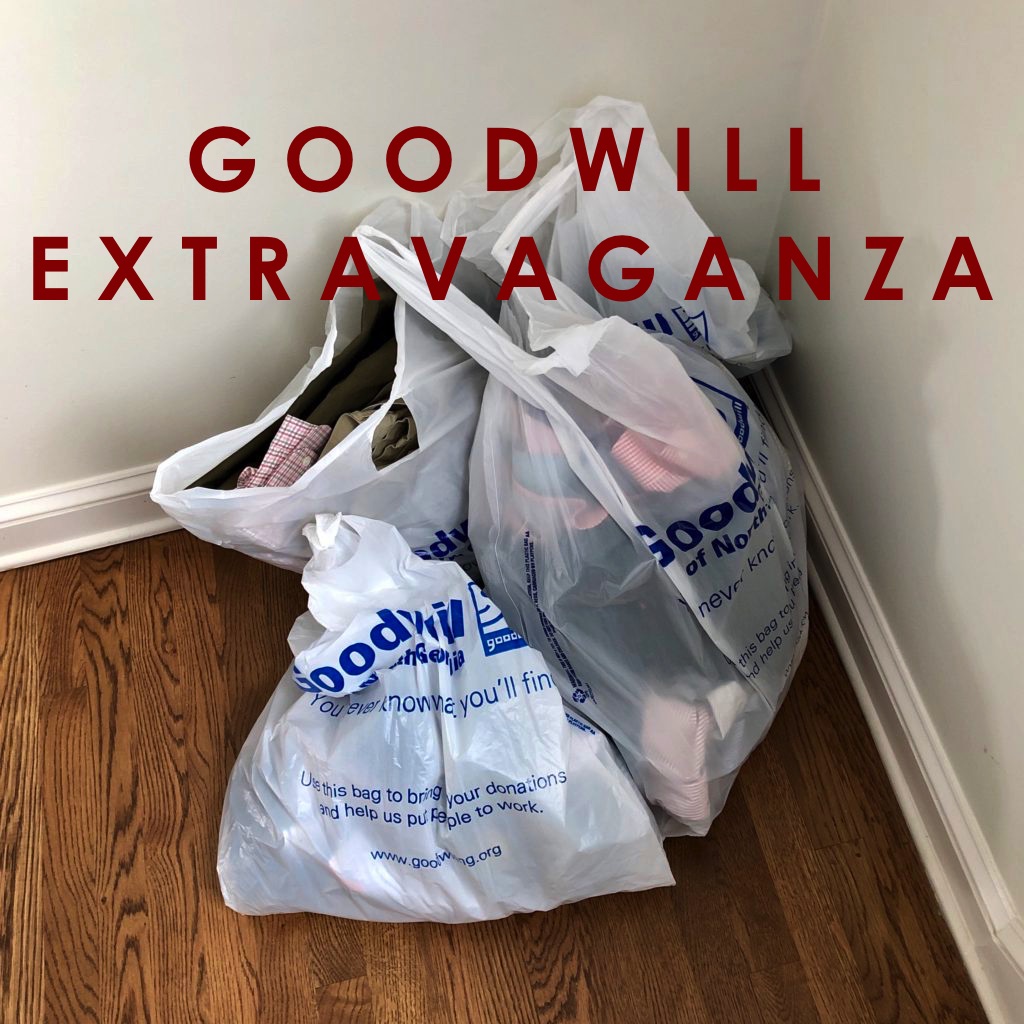One Day Goodwill Extravaganza: The Results